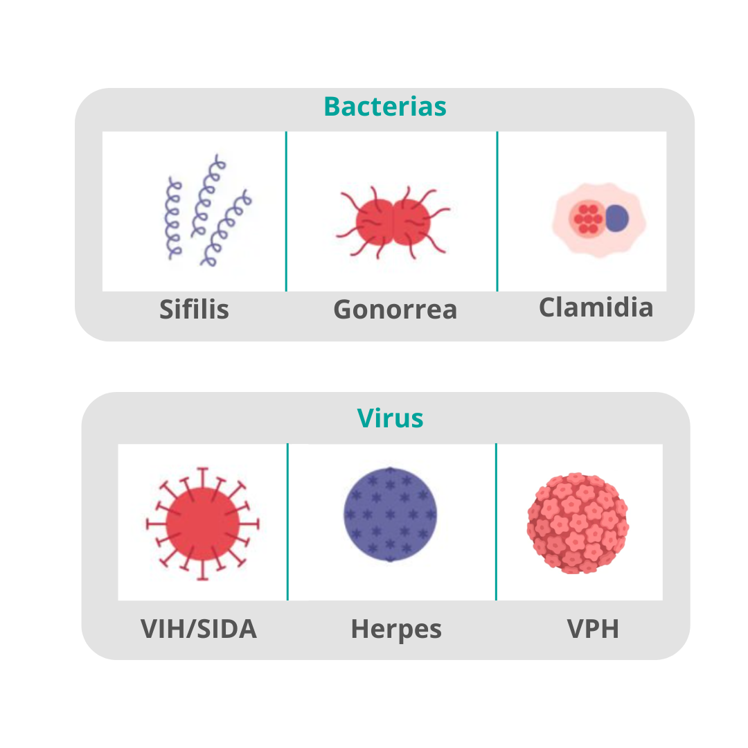 Imagen con diferentes tipos de bacterias y virus consideradas enfermedades o infecciones de transimisión sexual.